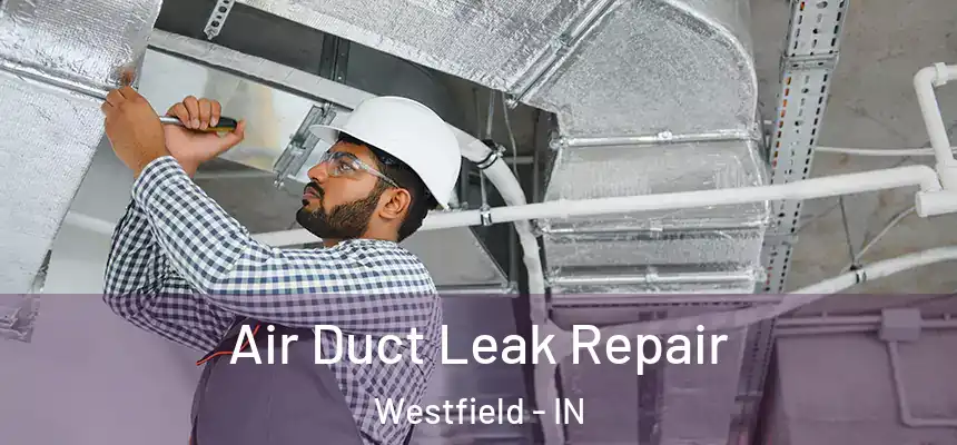  Air Duct Leak Repair Westfield - IN