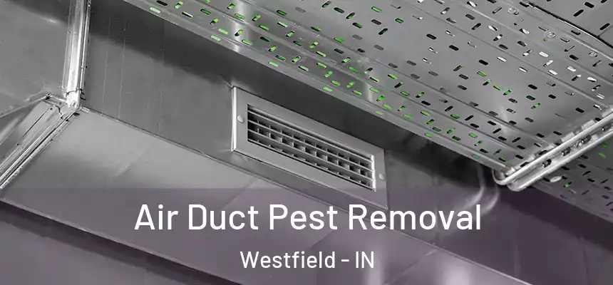  Air Duct Pest Removal Westfield - IN