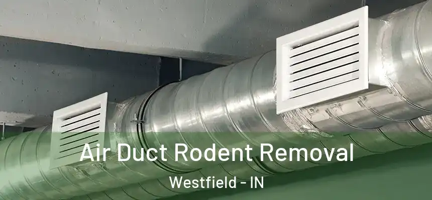  Air Duct Rodent Removal Westfield - IN