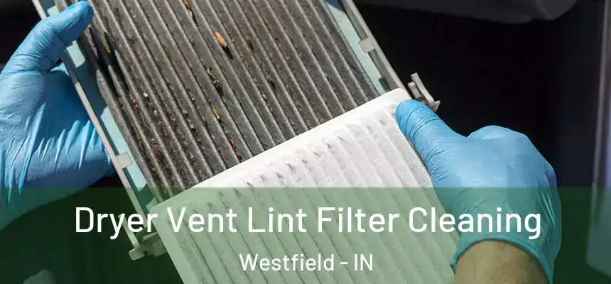 Dryer Vent Lint Filter Cleaning Westfield - IN