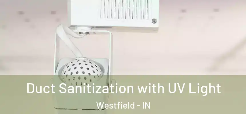  Duct Sanitization with UV Light Westfield - IN