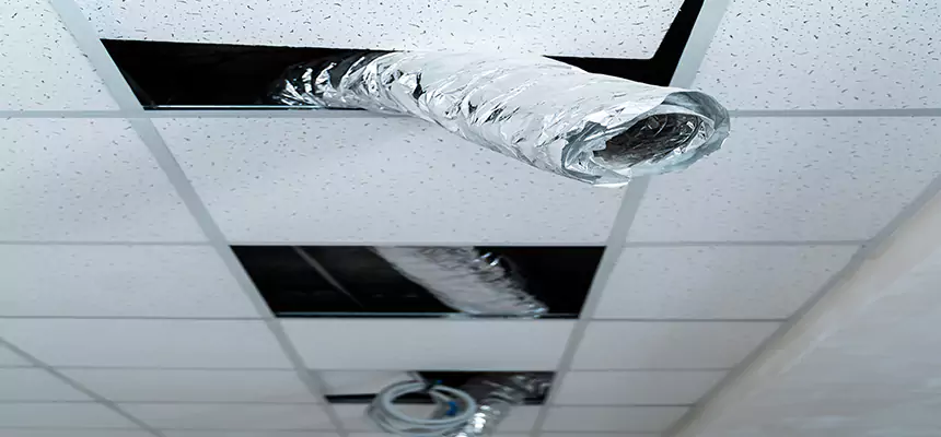 Our Air Duct Pet Hair Removal Services in Westfield, IN