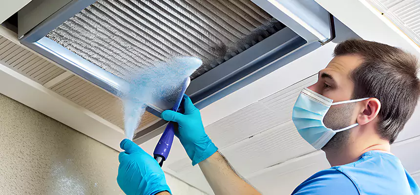 Proactive Dryer Vent & Auxiliary Duct Pollen Cleanup in Westfield, IN