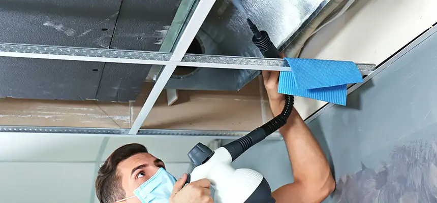Our Air Duct Rodent Removal Services in Westfield, IN