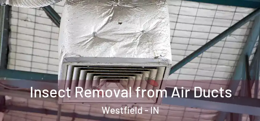  Insect Removal from Air Ducts Westfield - IN