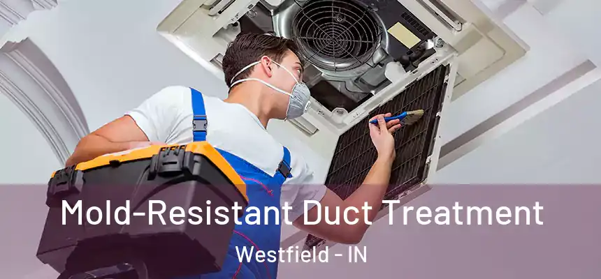 Mold-Resistant Duct Treatment Westfield - IN