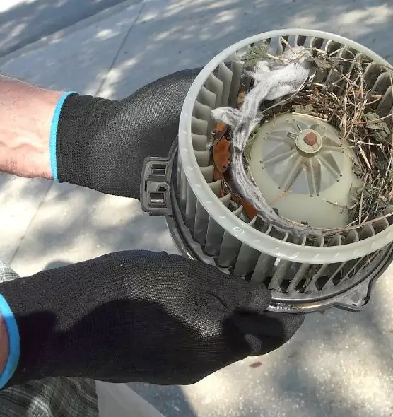 About Air Duct Rat Removal in Westfield, IN