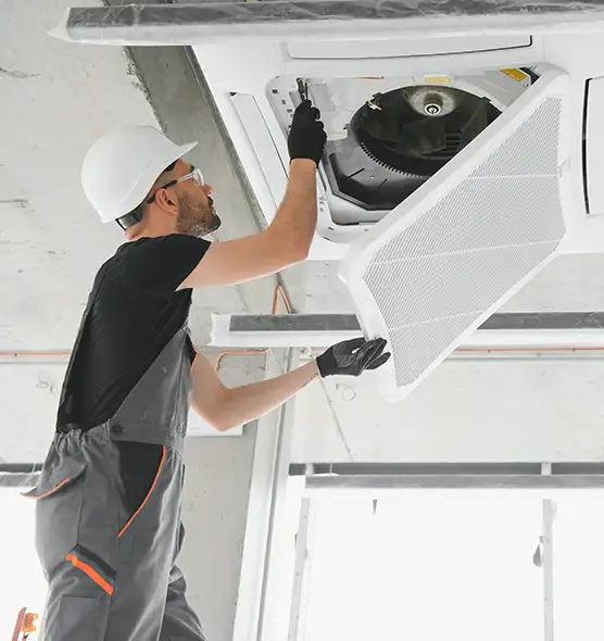 About Air Duct Rodent Removal in Westfield, IN