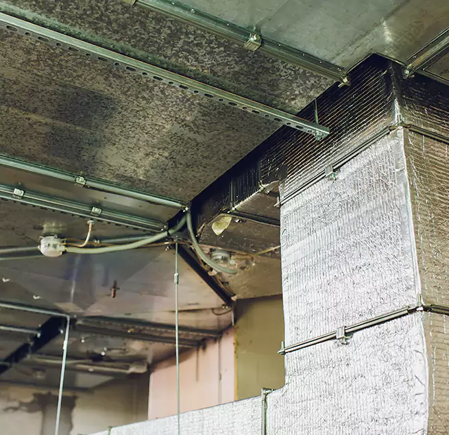 Why Homeowners & Businesses Trust Us in Westfield, IN?