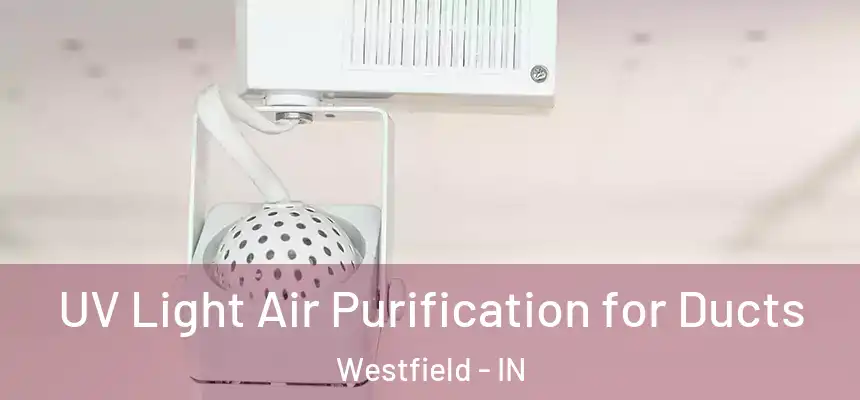  UV Light Air Purification for Ducts Westfield - IN